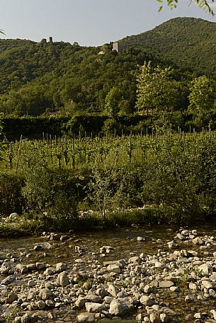 Castelli di Zucco e Cuccagna